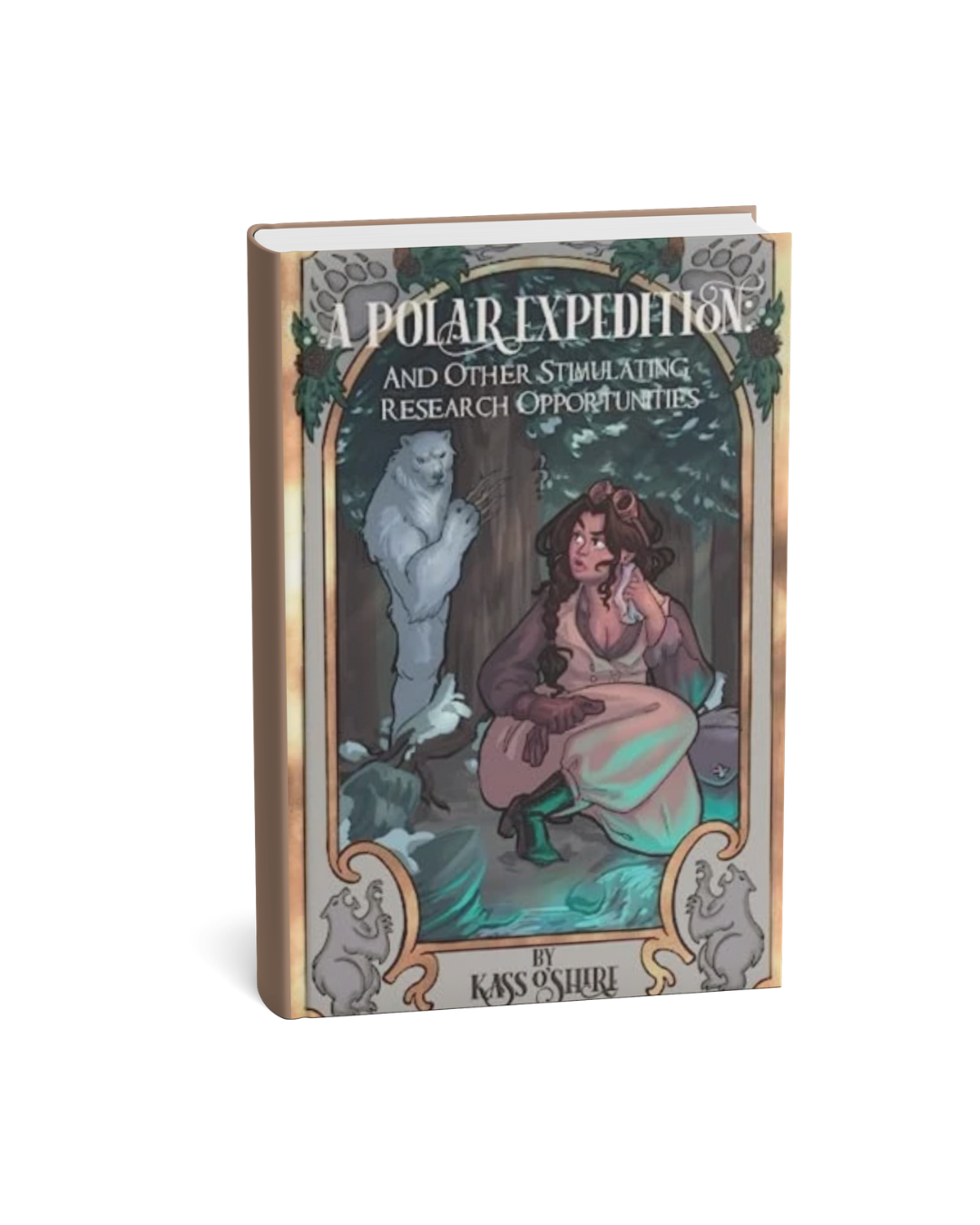A Polar Expedition