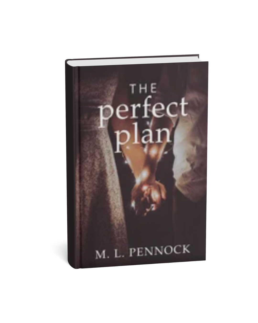 The Perfect Plan