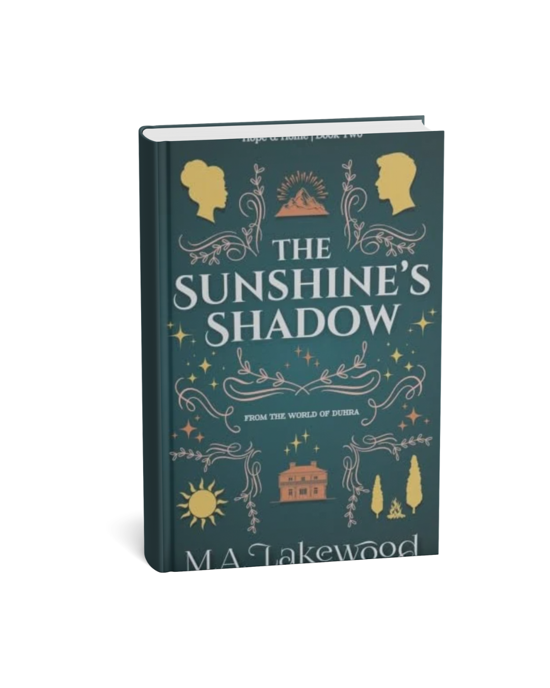 The Sunshine's Shadow
