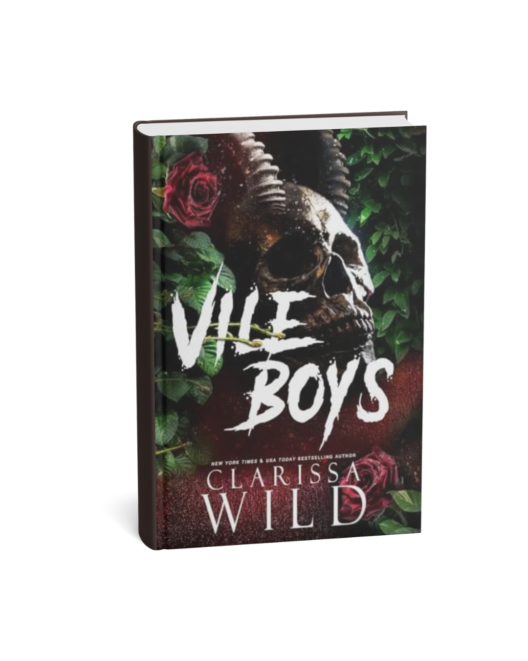 Vile Boys