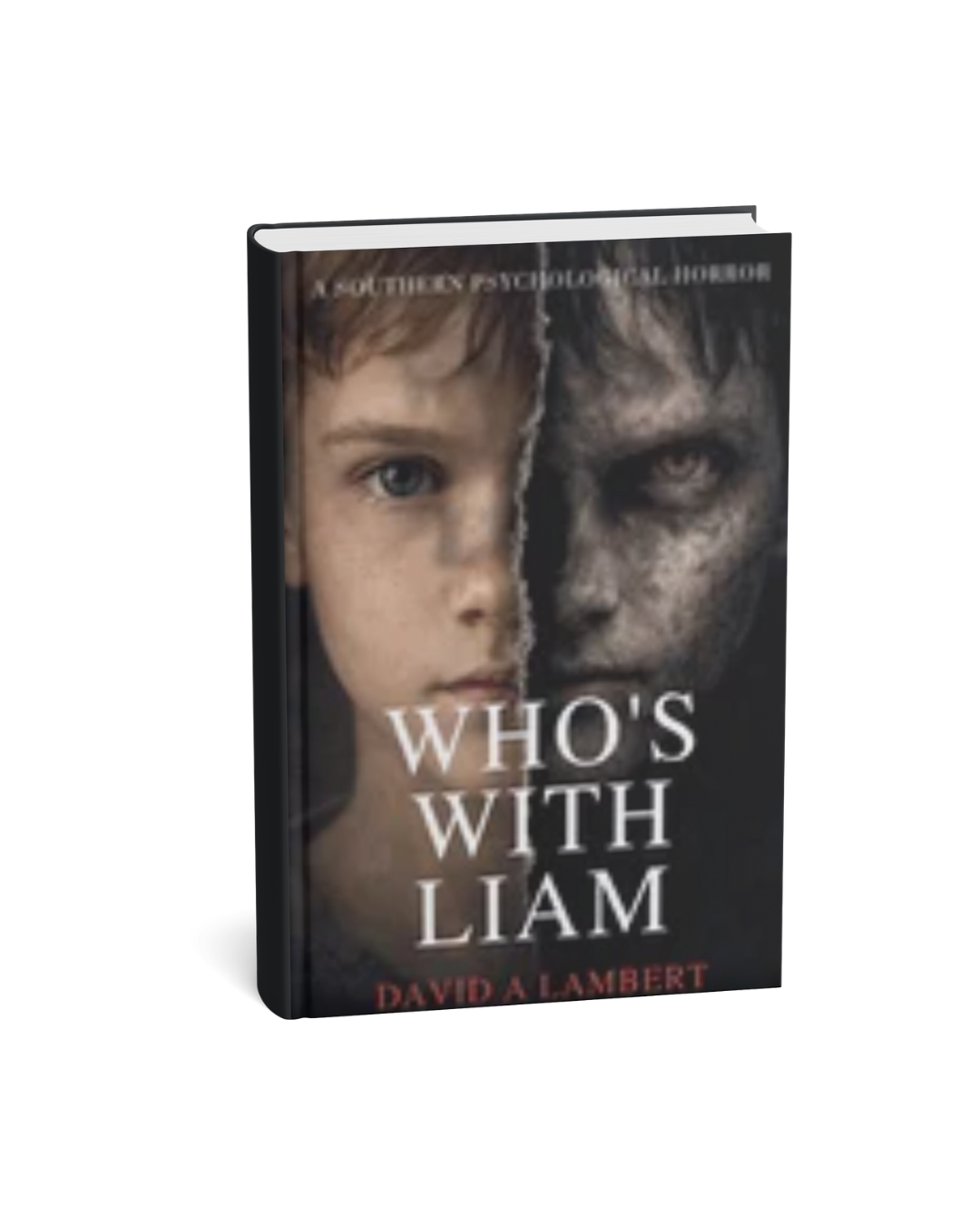 Who's With Liam: A Southern Psychological Horror